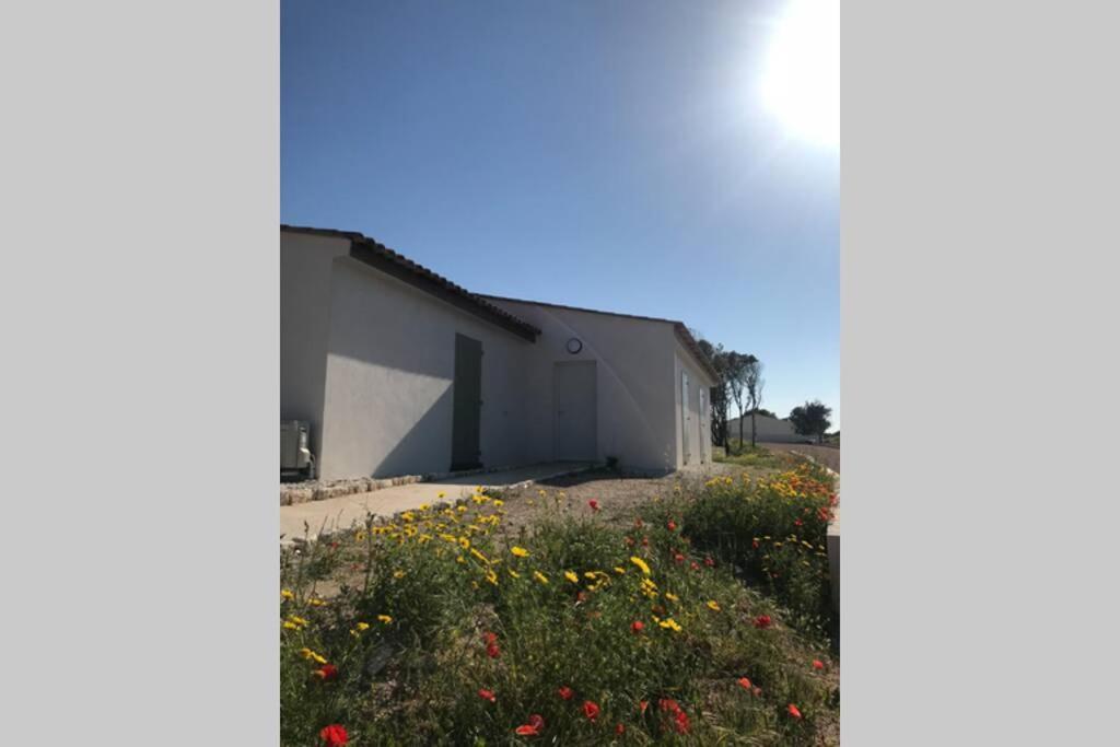 Bonifacio 3Mn Du Port! Villa Piscine Chauffee ,Clim,Wifi Exterior photo